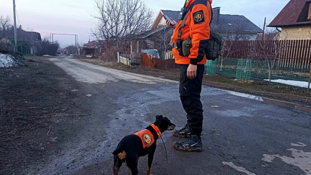 В Саратове 27 волонтёров ищут 78-летнего пенсионера в лесопарке