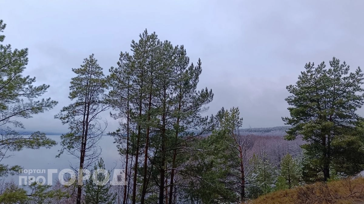 «Хрономиражи», пропавшие дороги и фигуры в белом: 5 мест Саратовской области, где реальность ведёт себя странно