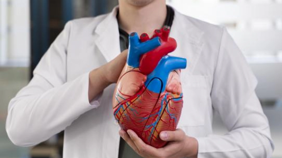 Саратовские учёные создали носимый прибор для раннего предупреждения сердечной недостаточности