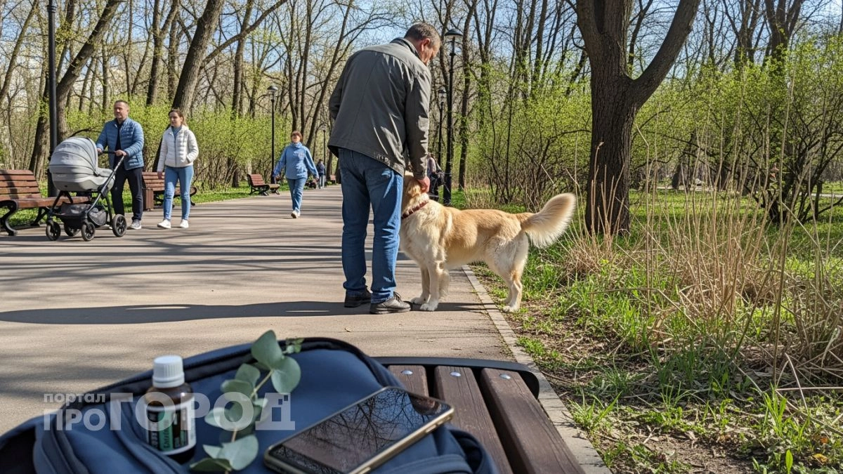 Забудьте про дорогие спреи: копеечный аптечный препарат отпугивает клещей эффективнее любой химии из магазина
