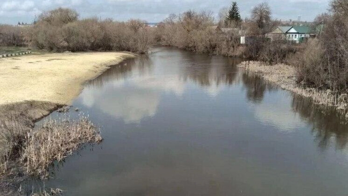 Медведица второй год подряд не разлилась: уровень воды остановился на 44 см