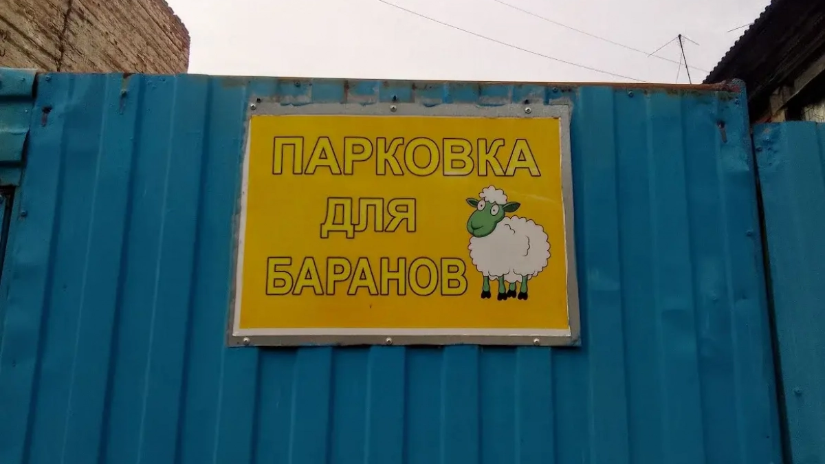 В Саратове прошёл масштабный рейд против парковки на тротуарах