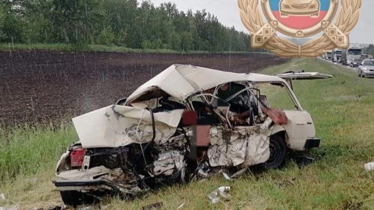 67-летний водитель осуждён за лобовое ДТП на трассе с шестью жертвами