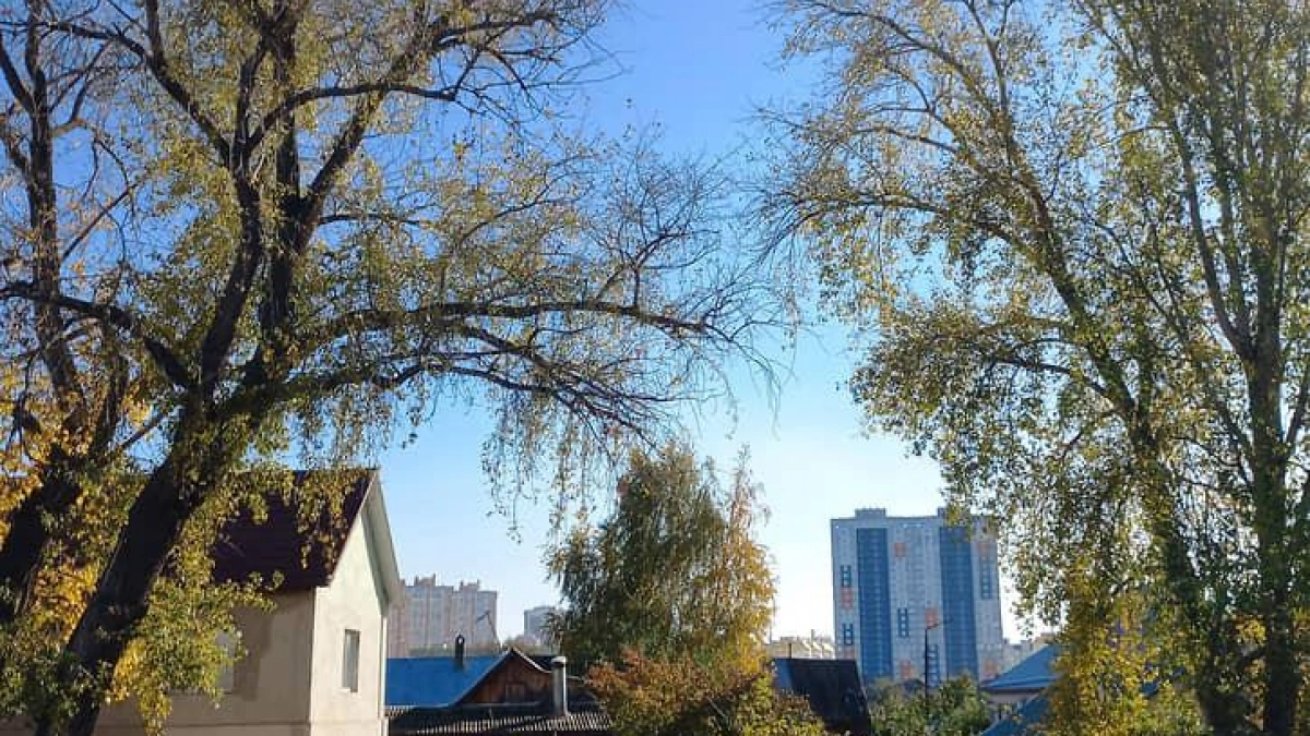 Саратовская область ввела рекордный 1 млн кв. м жилья за год