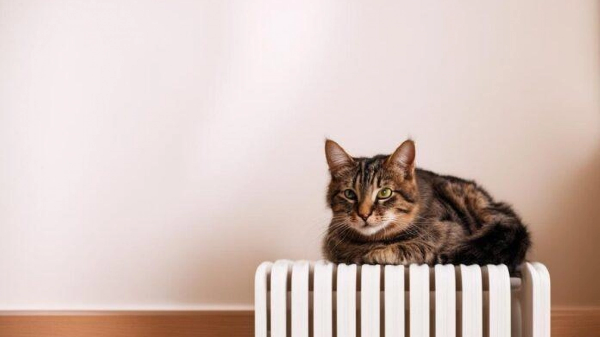 180 тысяч саратовцев получили перерасчёт после скандального отопительного сезона