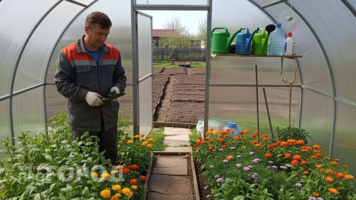 Забудьте про бархатцы от паутинного клеща: я нашла растение которое защищает огород гораздо надежнее