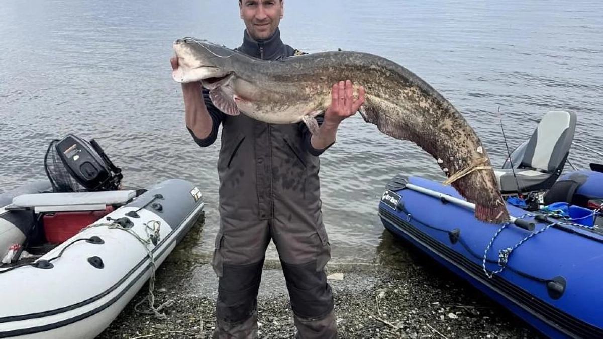 Саратовский рыбак вытащил из Волги сома на 16 кг