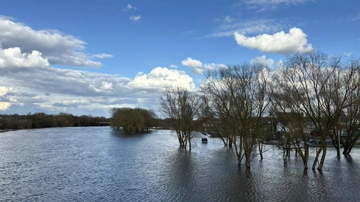 Хопёр поднялся до 282 см, но жилые дома остаются вне зоны затопления