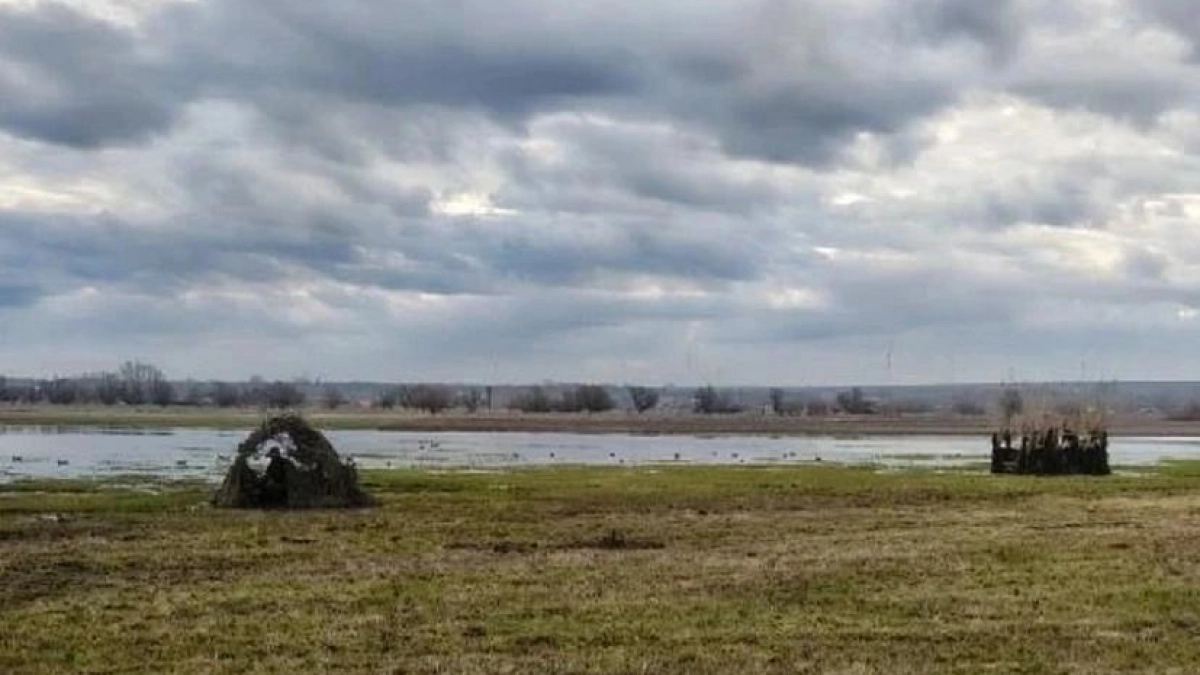 За весенний сезон охоты в Саратовской области выявлено более 120 нарушений