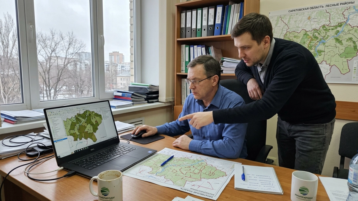 Саратовская область синхронизировала границы лесничеств с реестром недвижимости