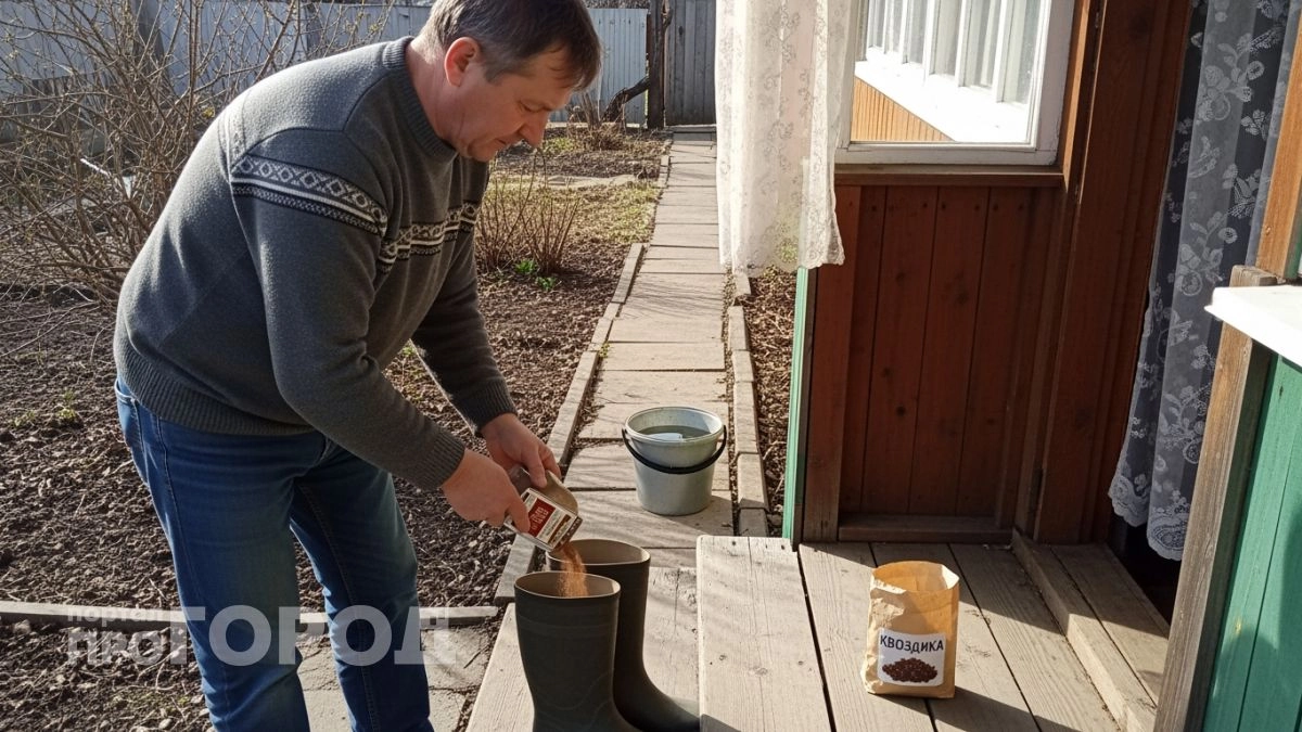 Забудьте про химию из супермаркета: эта копеечная специя из отдела выпечки отпугивает клещей лучше любого спрея