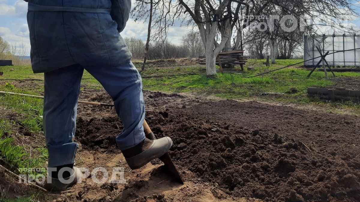 Снег больше не липнет к лопате: копеечная хитрость со свечой превращает тяжелую уборку в легкую прогулку
