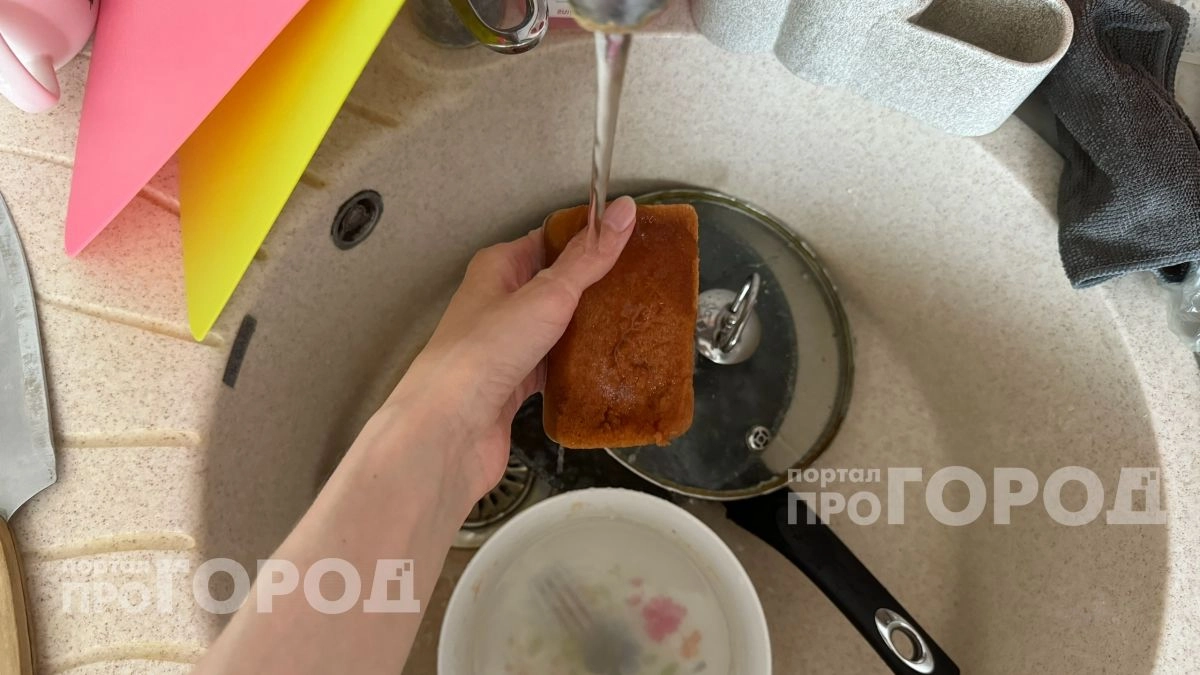 Перестаньте менять губку раз в месяц: этот предмет на вашей кухне опаснее сиденья унитаза для здоровья семьи