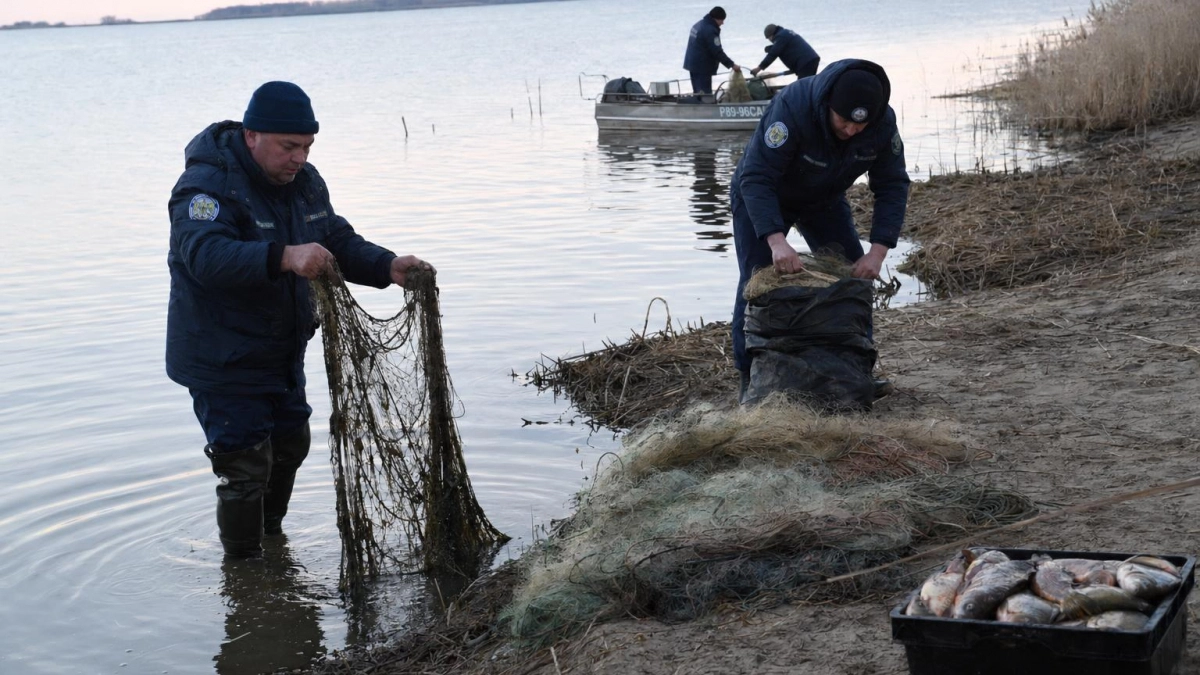 117 рейдов за две недели: рыбоохрана изъяла 25 лодок и 180 кг рыбы на Волге
