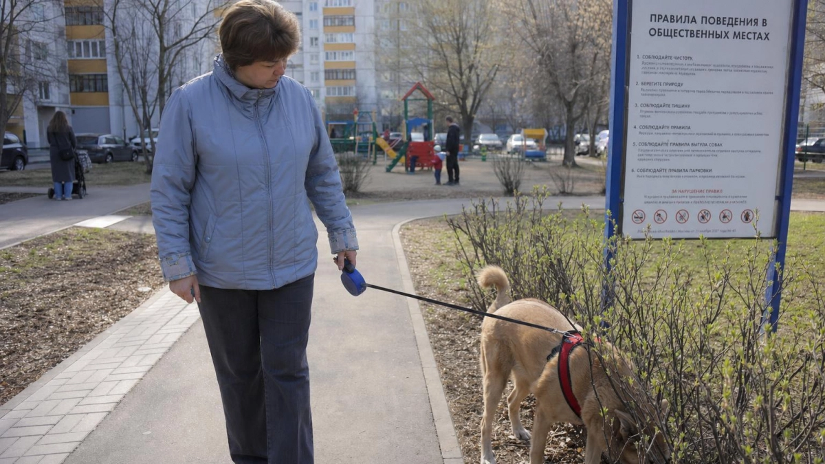 В Саратове запретили выгул собак в пяти городских парках