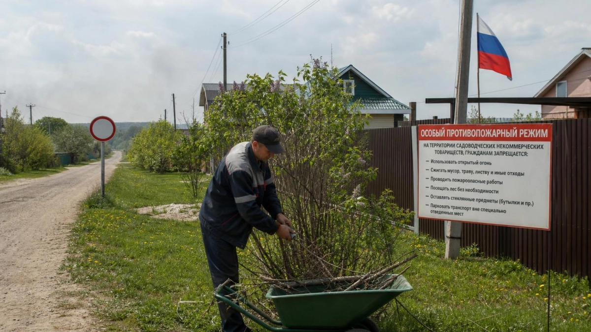 В Саратовской области с 15 мая вводится особый противопожарный режим