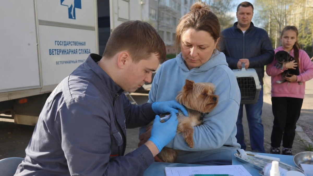 В Энгельсе запустили передвижной пункт бесплатной вакцинации питомцев от бешенства