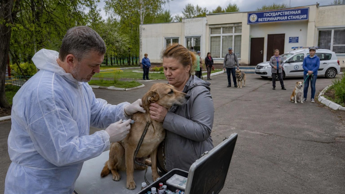 В Воскресенском районе отработали полный цикл борьбы с бешенством