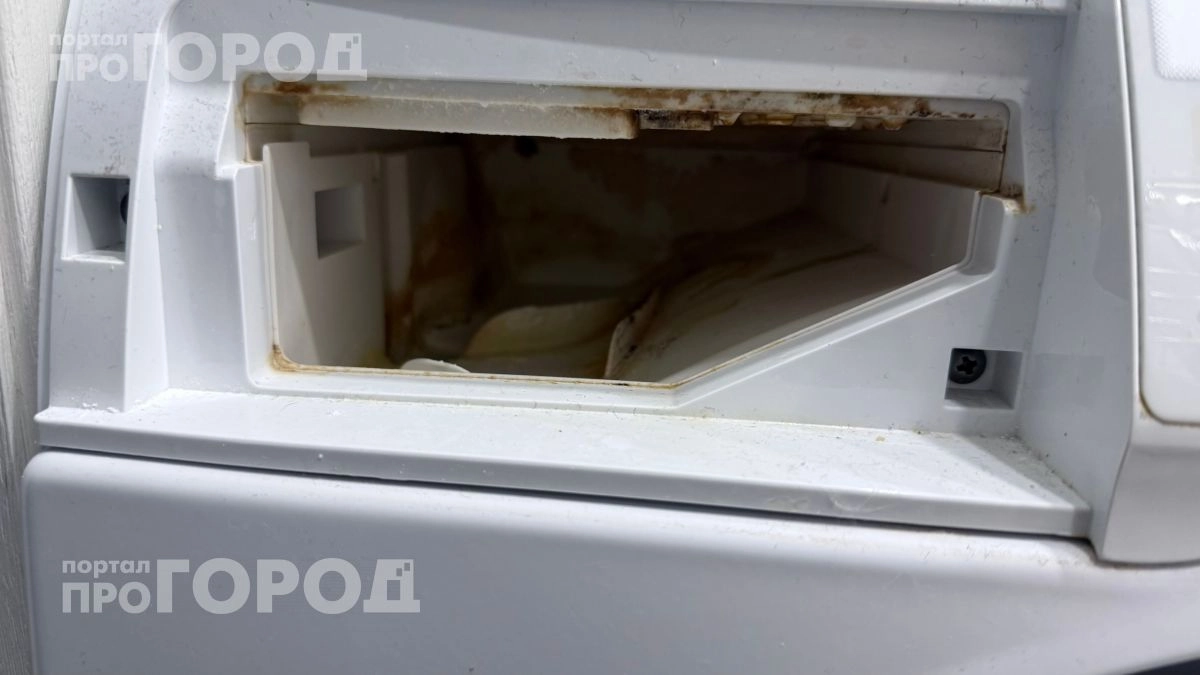 Избавьтесь от затхлого запаха в стиральной машине: одна скрытая зона очищается от черной плесени за пять минут