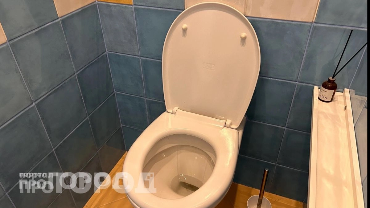 Вы привыкли смывать это в унитаз каждый день: сантехники объяснили почему ваша канализация скоро засорится