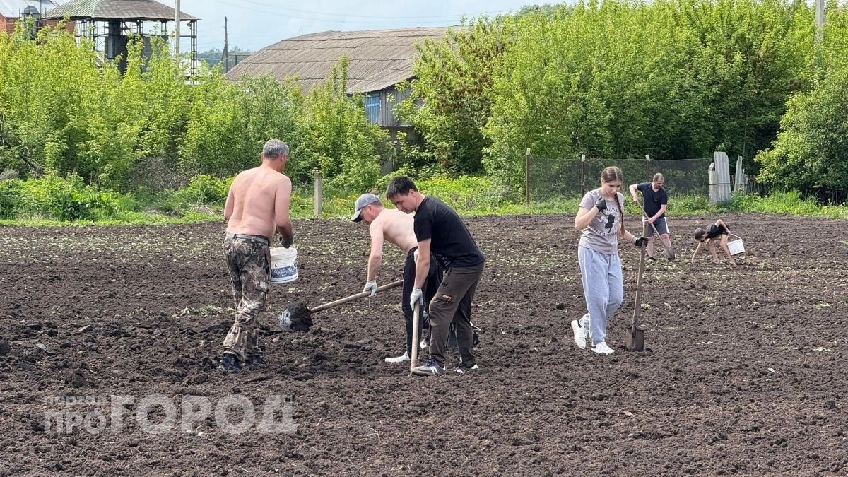 Один простой прием с картофелем перед посадкой гарантирует ведра отборных клубней: секрет опытных дачников