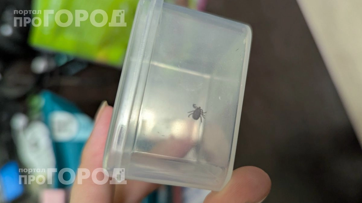 Больше никакой химии в лесу: достаточно нанести эти две капли на шнурки и клещи будут обходить вас стороной