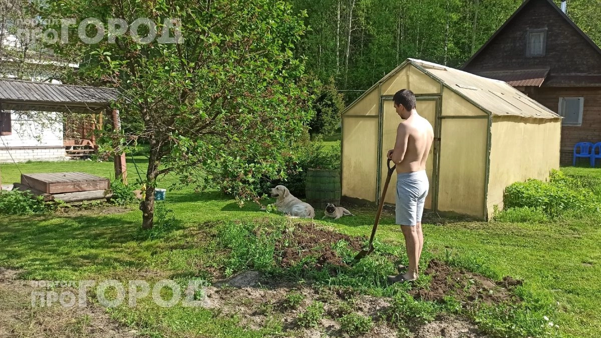 Проведите простой тест с обычным полотенцем на даче: так вы за пять минут узнаете о скрытой угрозе клещей