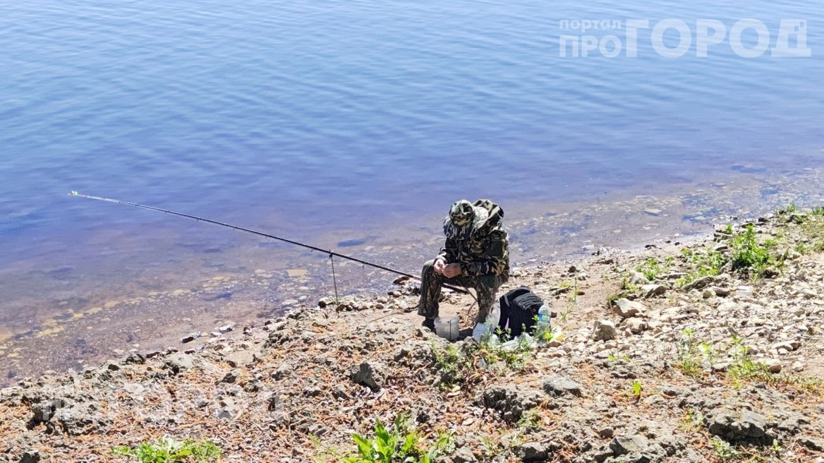 Выкиньте дорогую химию в мусор: одна простая смесь с кухни защитит от комаров на всю ночь без лишних затрат