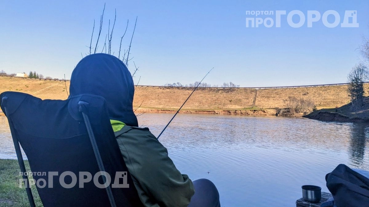 Лягушки внезапно замолчали у пруда: единственный звук природы, который приказывает вам немедленно уходить