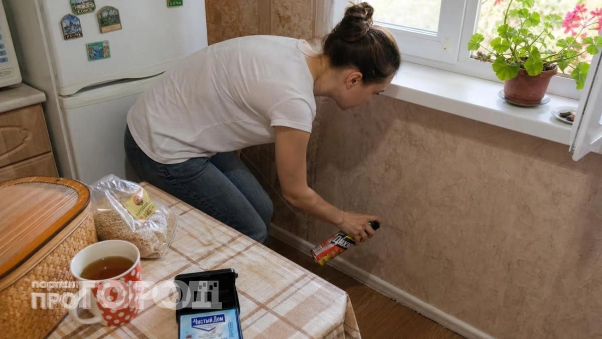 Просто капните это средство на ватку и забудьте о муравьях навсегда: они сбегут из дома через пару минут