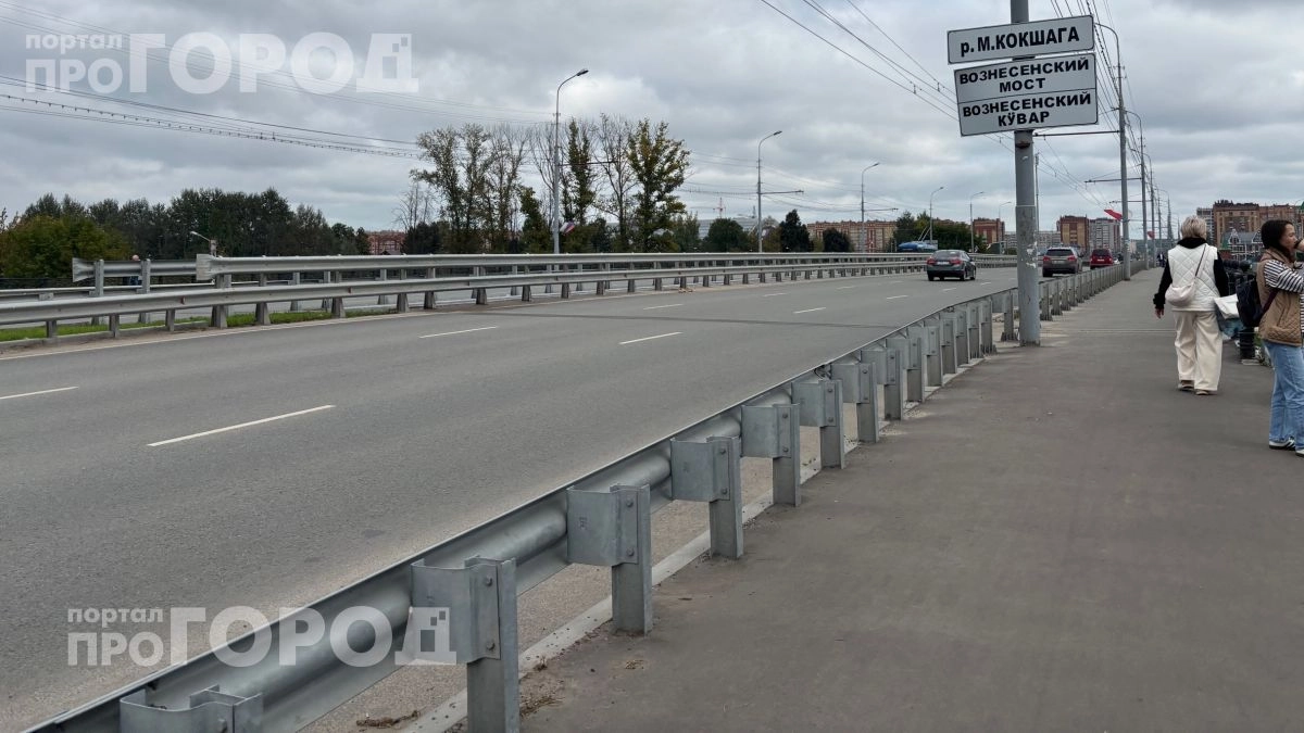 Синяя разметка на дорогах: почему опытные водители до сих пор платят штрафы из-за простого незнания правил