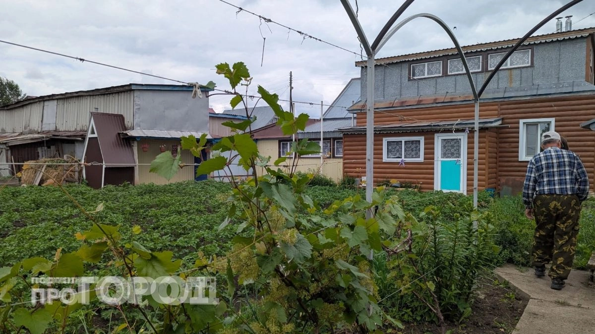 Срочно проверьте свой участок: за какие привычные дела на даче в 2026 году прилетят крупные штрафы от властей