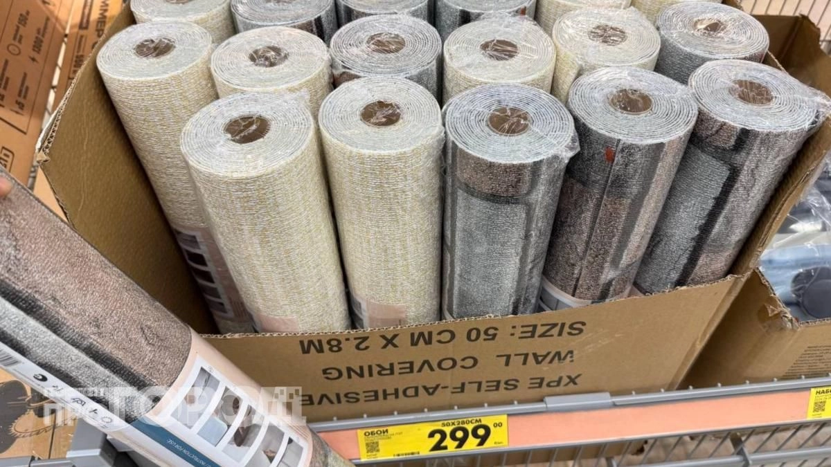 Забудьте про шпатель и клей: в Чижике нашлась находка для преображения стен всего за несколько сотен рублей