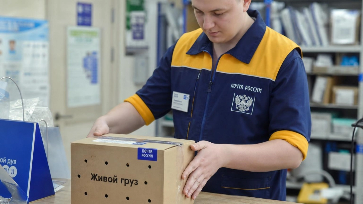 В Саратовскую область прибыли первые в сезоне посылки с пчелиными матками