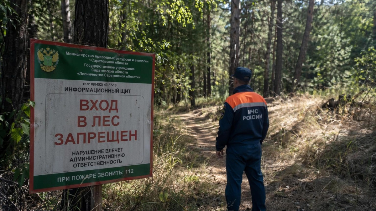В лесах Саратовской области на 21 день ограничили пребывание граждан