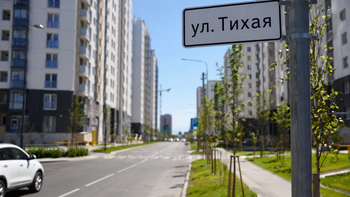 В Саратове две новые улицы назвали в честь Тобольского и Симонова