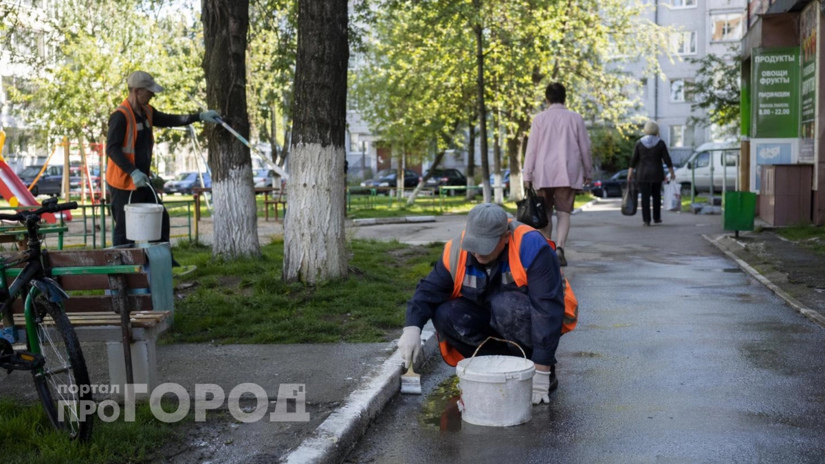 Многие до сих пор белят деревья по привычке: узнайте скрытую причину этой традиции, о которой молчали годы