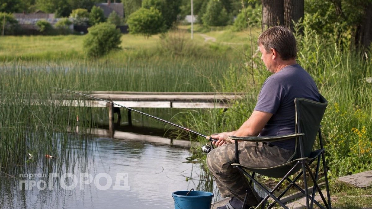 Где ловить рыбу под Саратовом: 5 проверенных точек с уловом
