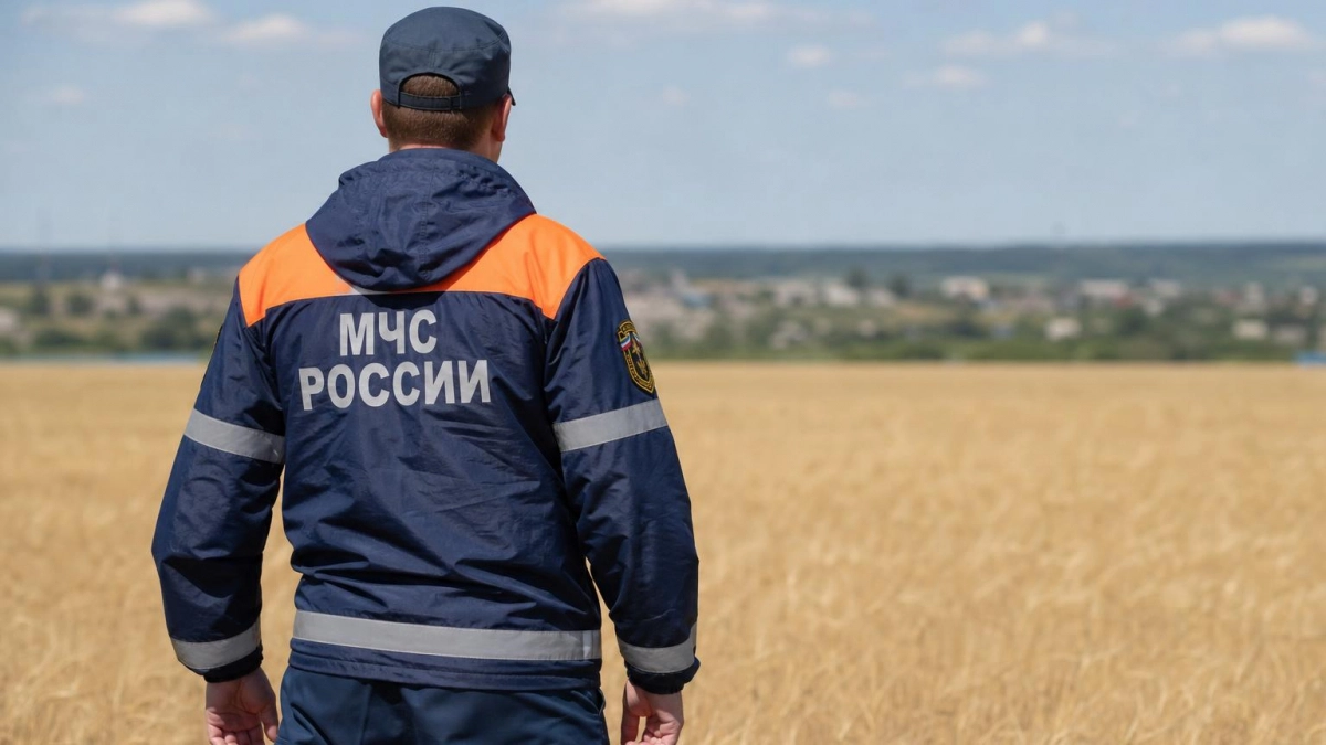 Над соседними с Саратовской областью регионами за ночь сбили сотни украинских БПЛА