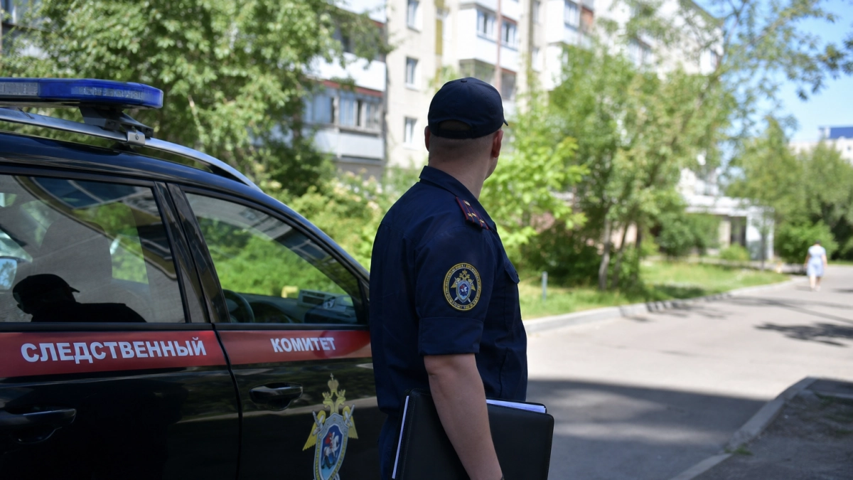 Бастрыкин взял на контроль дело о нападении собаки на школьника под Саратовом