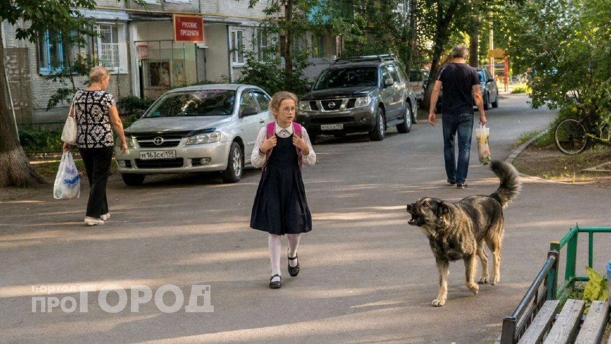 Бездомная собака напала на девочку в Саратове: уже завели дело