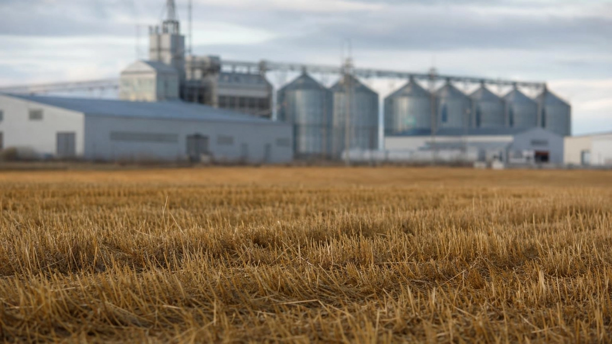 Под Саратовом представили инвестпроект мясомолочного комбината с гостиницей