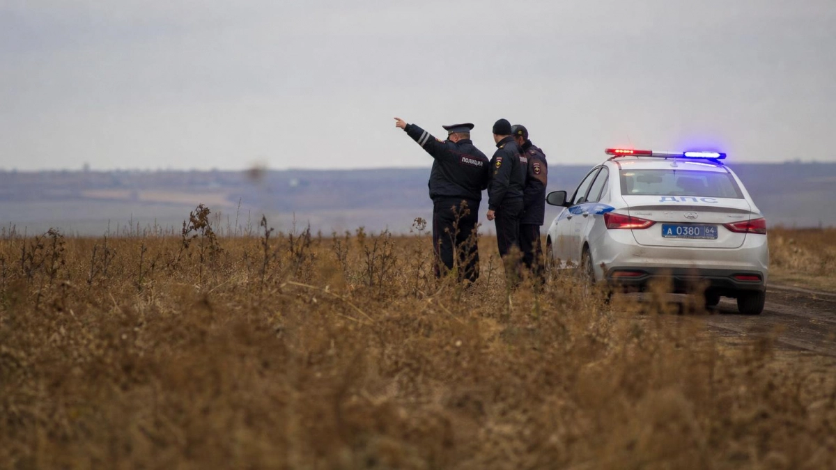 В Саратовской области уничтожили очаги дикорастущей конопли в трёх районах