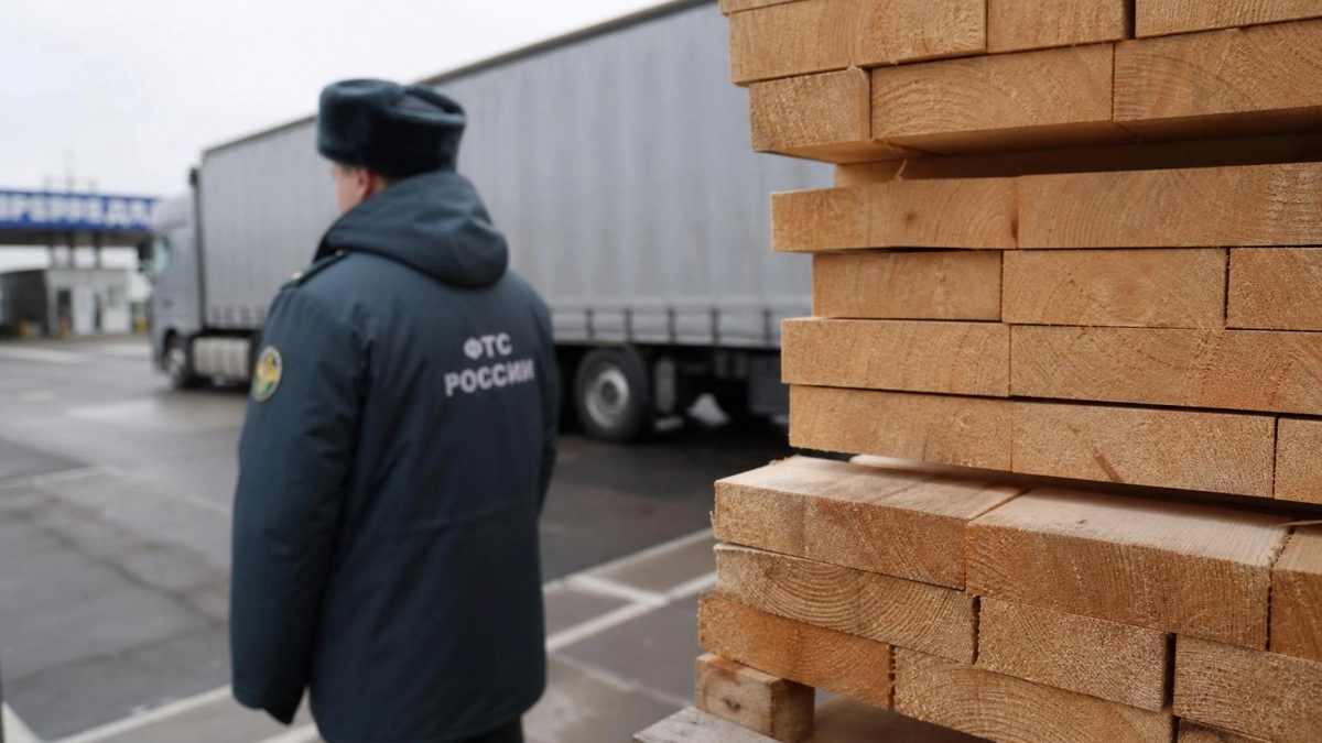 На саратовской границе остановили вывоз 48 кубометров пиломатериалов в Узбекистан