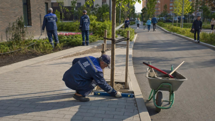 Домашний арест саратовского чиновника продлён до июля: он регистрировал фирмы для муниципальных контрактов