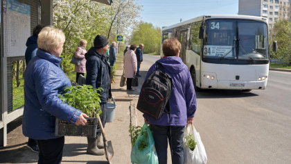 Автобус до дач в Саратове теперь ходит каждый день